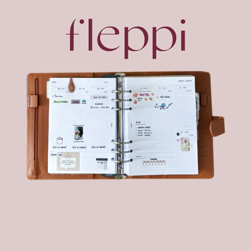 Email strategy for fleppi.cz