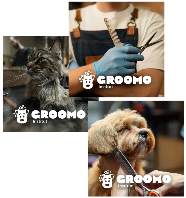 GROOMO Institut - grooming courses and training for dogs and cats