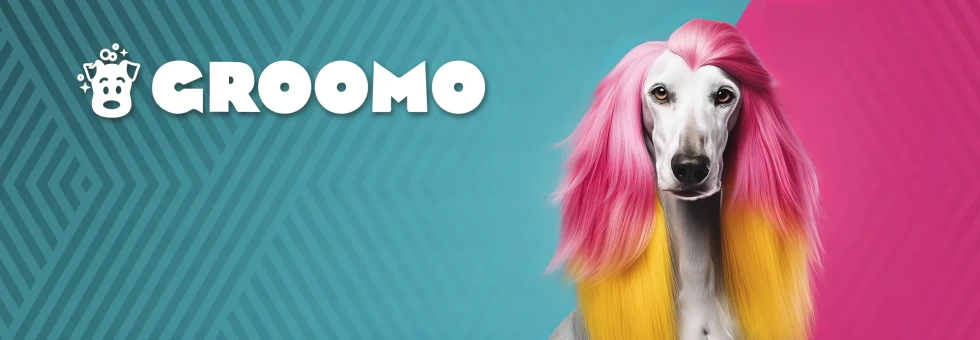 GROOMO – For groomers and dog lovers